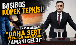 BAŞIBOŞ KÖPEK TEPKİSİ! HASAN ARSLAN: “DAHA SERT VE RADİKAL KARARLARIN ZAMANI GELDİ”