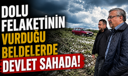 DOLU FELAKETİNİN VURDUĞU BELDELERDE DEVLET SAHADA!