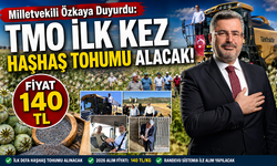 Milletvekili Özkaya Duyurdu: TMO İlk Kez Haşhaş Tohumu Alacak! Fiyat 140 TL