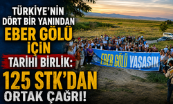 Türkiye’nin Dört Bir Yanından Eber Gölü İçin Tarihi Birlik: 125 STK’dan Ortak Çağrı!
