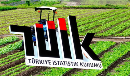 Tarımsal girdi fiyat endeksi (Tarım-GFE) yıllık %29,73 arttı