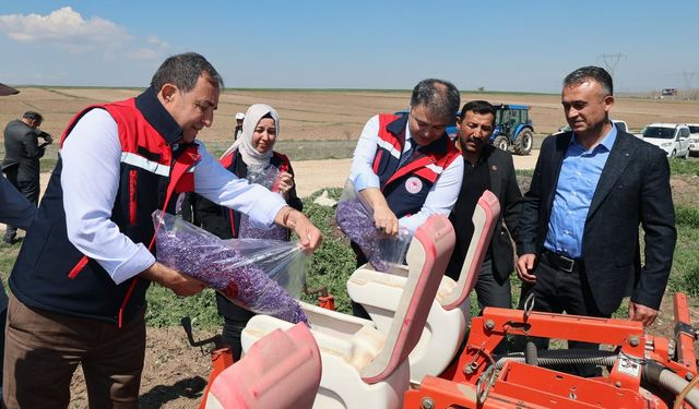Afyonkarahisar'da Çiftçilere Tohum Desteği