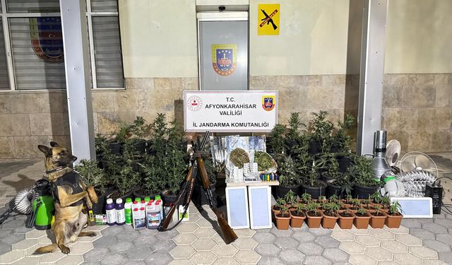 Afyonkarahisar'da Yasa Dışı Kenevir Çiftliği Çökertildi