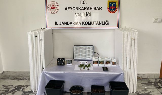 Evde Yasadışı Kenevir Yetiştiriciliği: Zanlı Gözaltında
