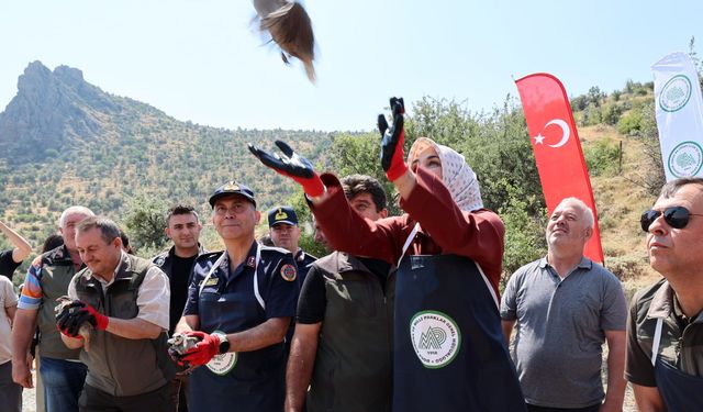 Keklikler Büyükkalecik’te doğaya salındı.