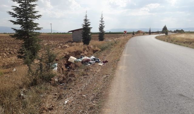Evciler'de Karayolu Kenarlarında Çevre Kirliliği Alarmı!