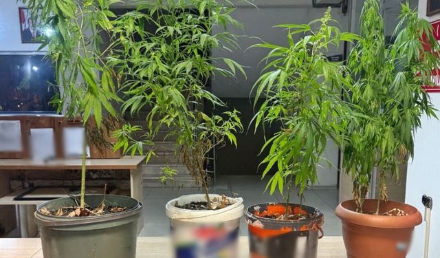 Güvenlik Operasyonu: 21 Aranan Şahıs Yakalandı