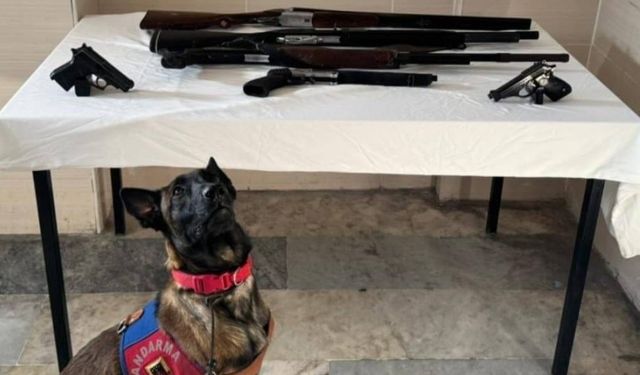 Güvenlik Operasyonu: Ruhsatsız Silahlar Ele Geçirildi