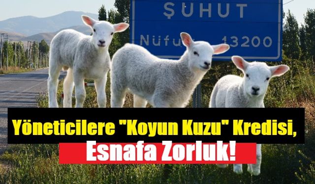 Yöneticilere "Koyun Kuzu" Kredisi, Esnafa Zorluk.!