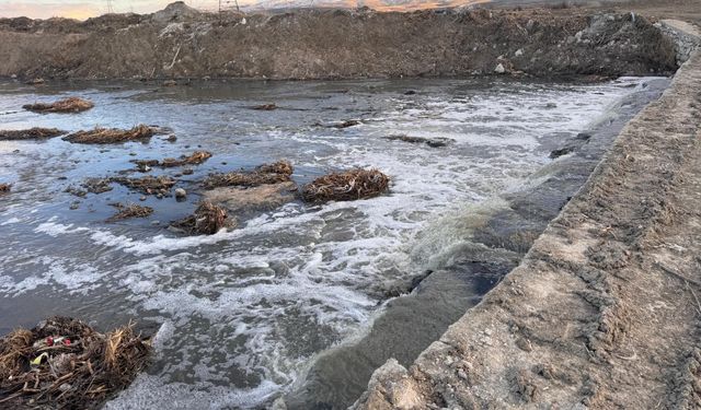 Fabrika atıkları Eber Gölü'nü yok ediyor.