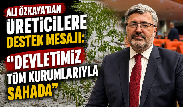 Ali Özkaya’dan Üreticilere Destek Mesajı: “Devletimiz Tüm Kurumlarıyla Sahada”