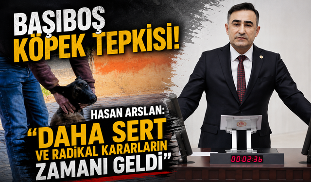 BAŞIBOŞ KÖPEK TEPKİSİ! HASAN ARSLAN: “DAHA SERT VE RADİKAL KARARLARIN ZAMANI GELDİ”