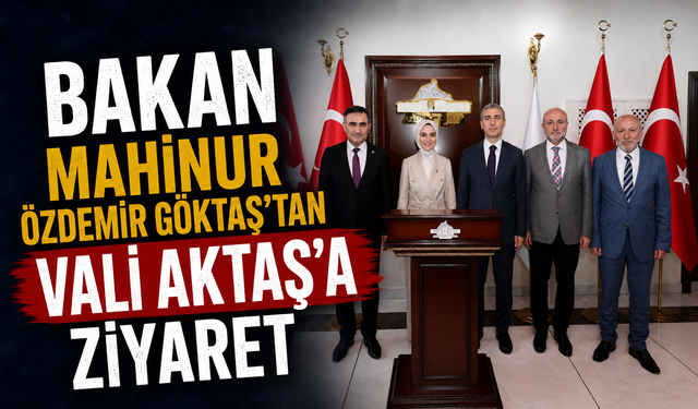 Bakan Mahinur Özdemir Göktaş’tan Vali Aktaş’a Ziyaret