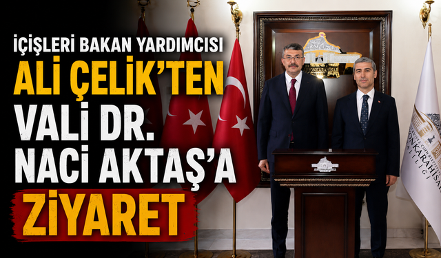 İçişleri Bakan Yardımcısı Ali Çelik’ten Vali Dr. Naci Aktaş’a Ziyaret