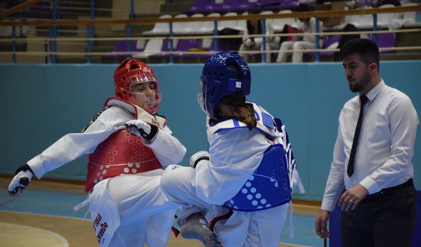 19 Mayıs Taekwondo Müsabakaları Sona Erdi