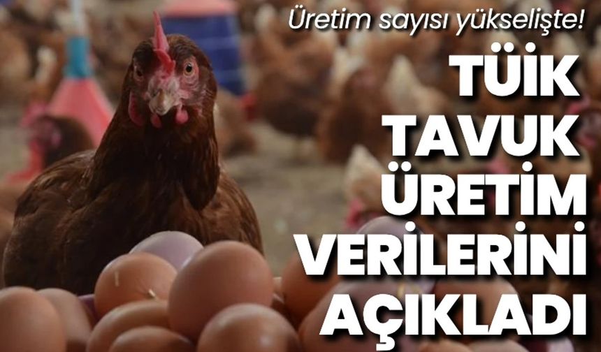 Tavuk Eti Üretimi 228 Bin 846 Ton Oldu.!