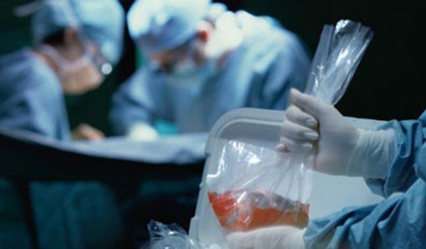 Organ Bağışı ve Beyin Ölümü Hakkında Merak Edilenler.!