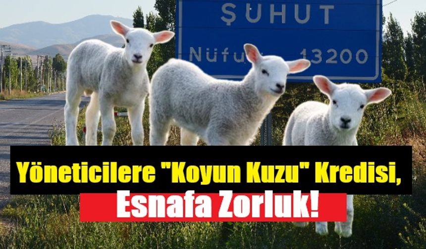 Yöneticilere "Koyun Kuzu" Kredisi, Esnafa Zorluk.!