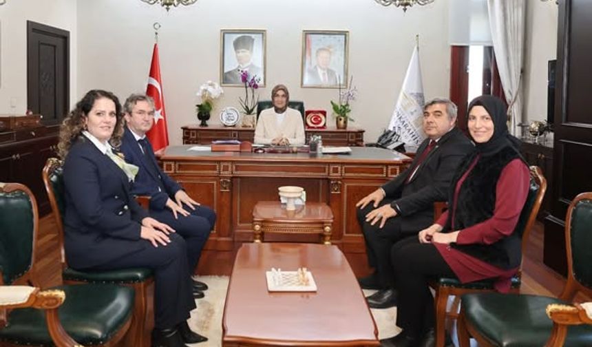 Geleneksel Keçe Sanatı Modern Tasarımla Buluştu