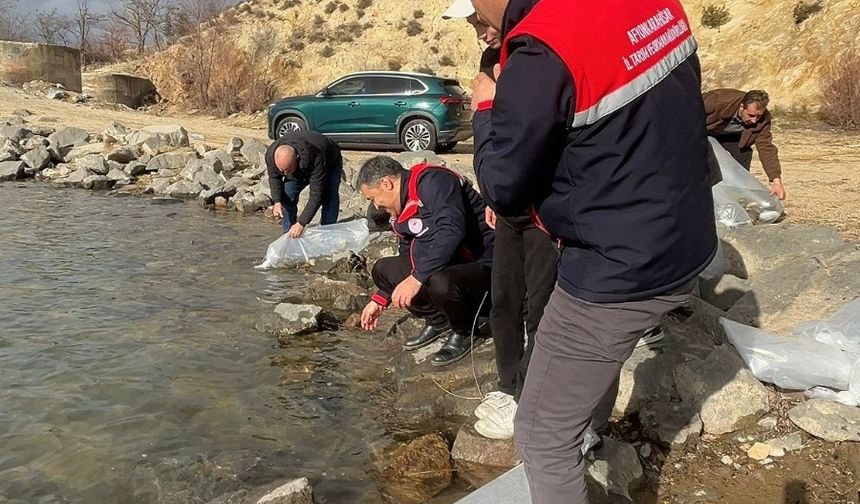 13 İlçede 39 Göl ve Gölete Balık Bırakıldı