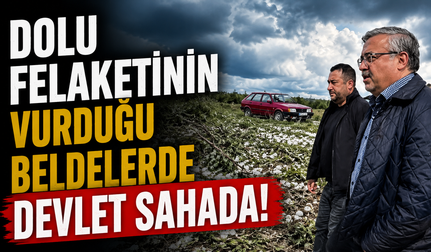 DOLU FELAKETİNİN VURDUĞU BELDELERDE DEVLET SAHADA!